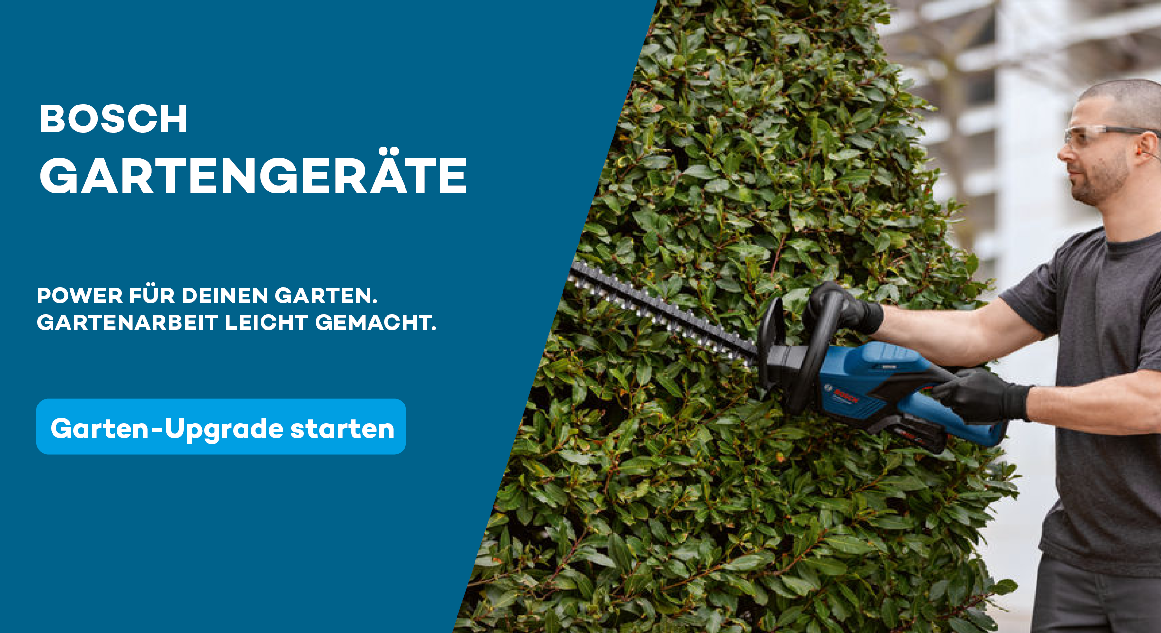 Garten, Draußen, Gartenarbeit, Handschuh, Hecke