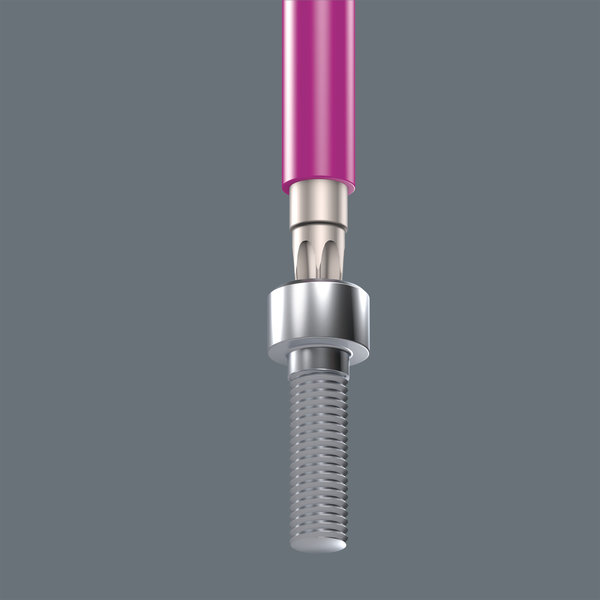 Holding function for recessed TORX® screws