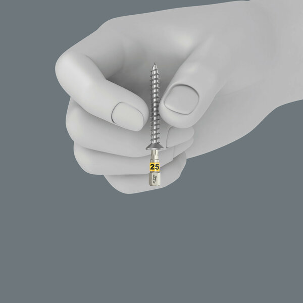 Holding function for recessed TORX® screws, Maschine, Schraube
