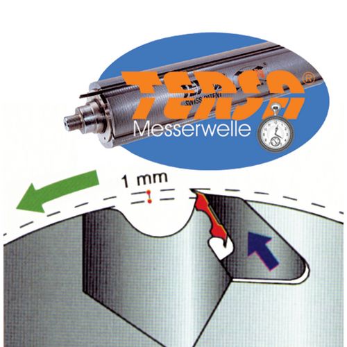 Stürmer CASADEI PS 63 TERSA Dickenhobelmaschine 630mm Hobelbreite 400V