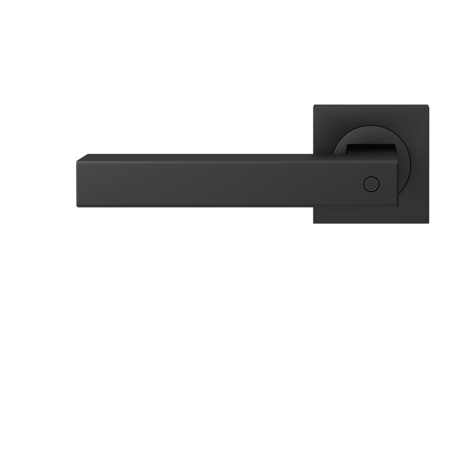 ER46Q_BCL_83_v_o.tif