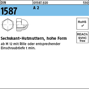 Artikelbild, Seite, Text