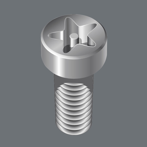 For recessed TORX PLUS® IPR screws with safety pin, Maschine, Schraube