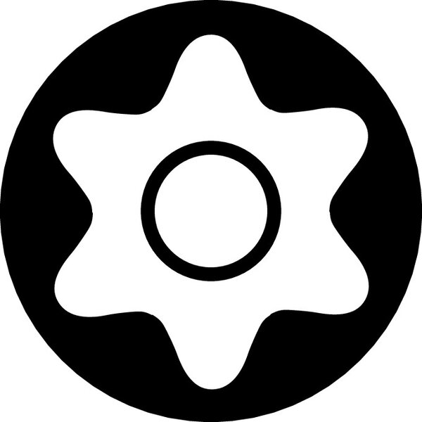 TORX® bits with central pin, Maschine, Festplatte, Ausrüstung