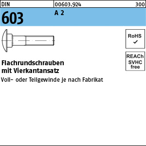Artikelbild, Seite, Text