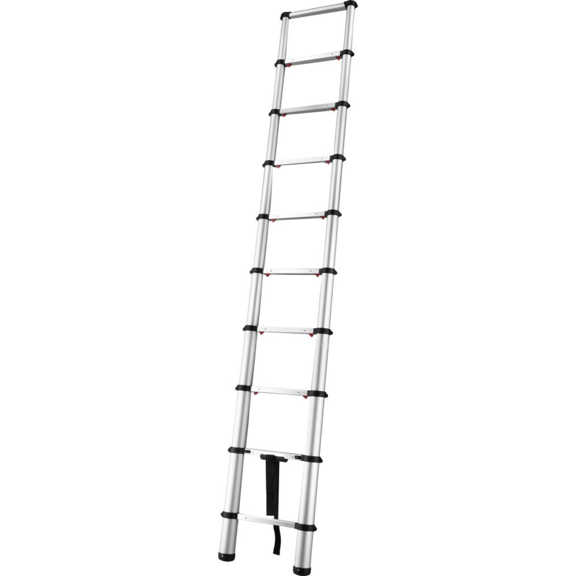 Fortis Teleskopleiter 10 Sprossen Leierlänge 0,75 m eingef. Arbeitshöhe 2,93 m