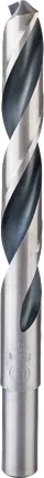 Bosch HSS Twist Drill Bit PointTeQ 13.5mm reduced shank.