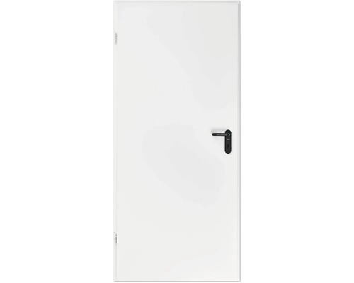 white door, innentüre, paneeltüre, metallgriff, rechtsanschlag
