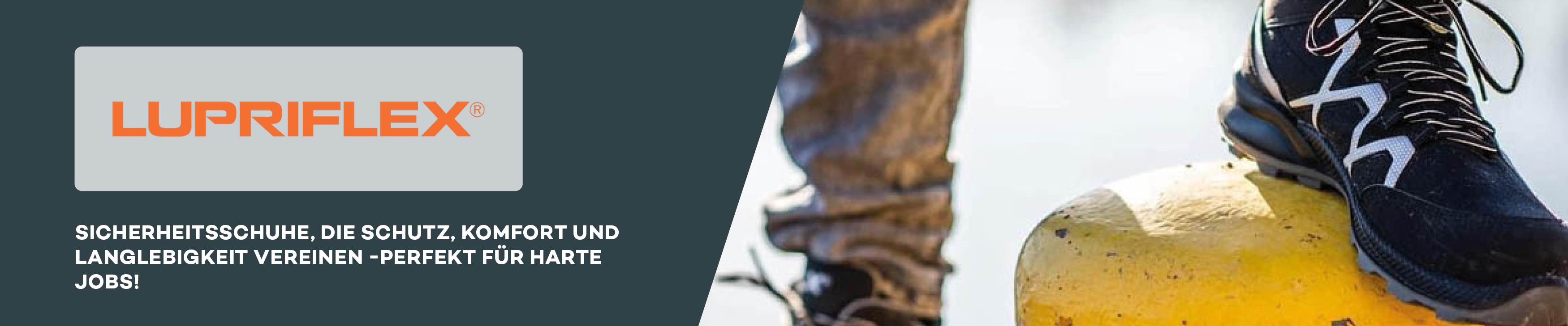 Bekleidung, Schuhwerk, Schuh, Sneaker