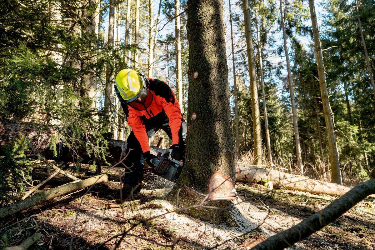 Fotografie-Anwendungsbild