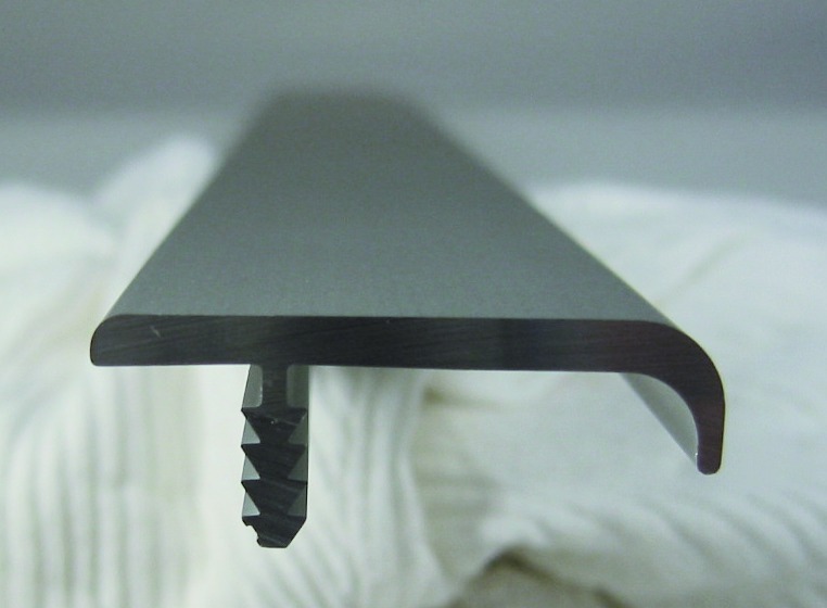 Format Griffleiste Typ H 2500 mm E6/EV1