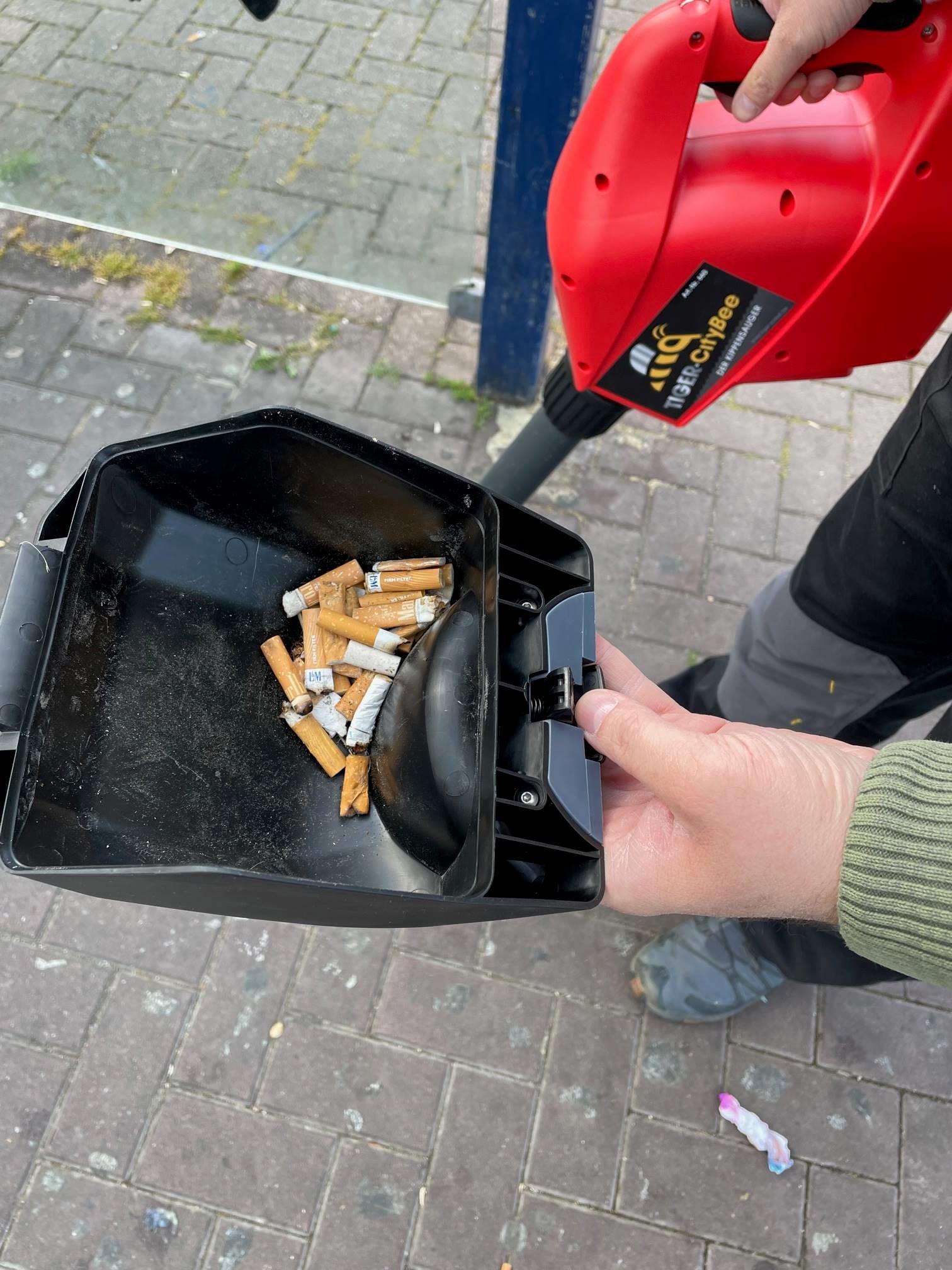 Tiger CityBee Kippensauger mit 2x 2,5 Ah Akku und Ladegerät