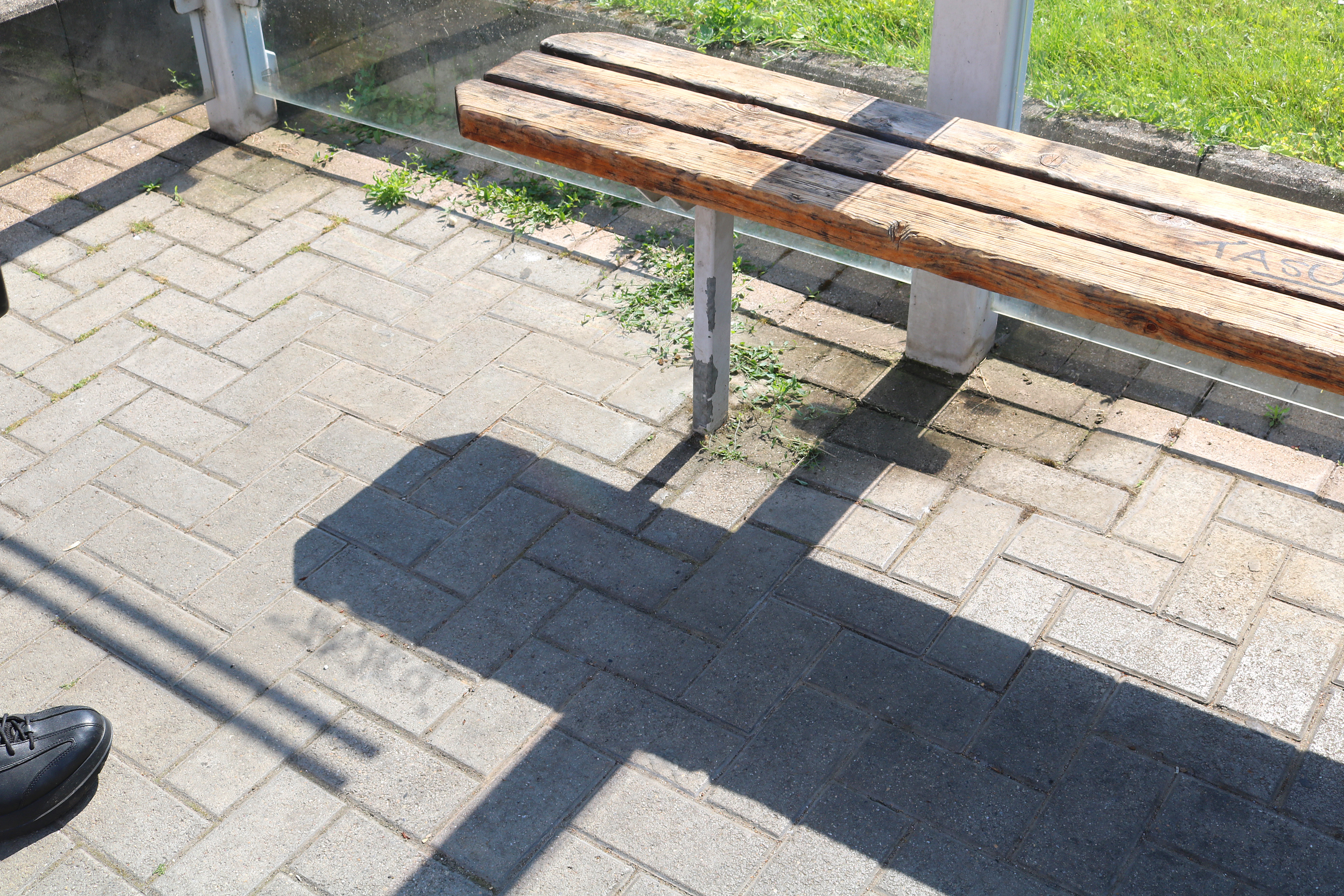 Tiger CityBee Kippensauger mit 2x 2,5 Ah Akku und Ladegerät