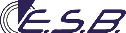 E.S.B. Engineering System Bau GmbH