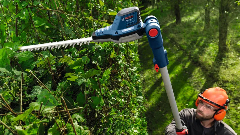 Person, Arbeiter, Dschungel, Pflanze, Vegetation