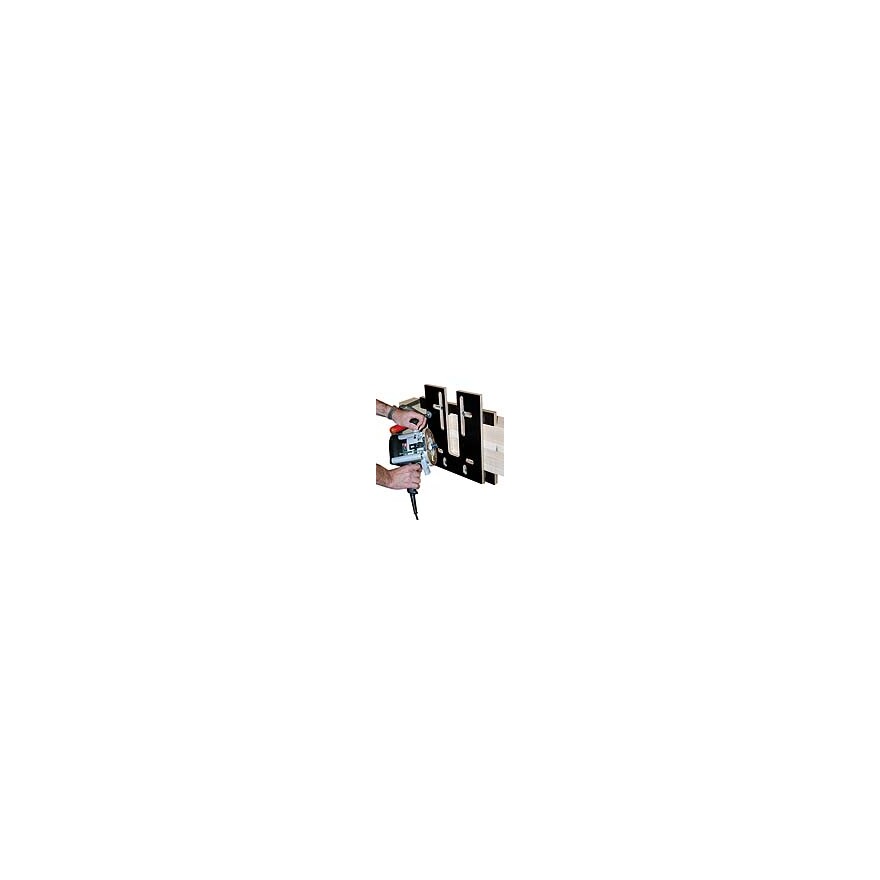 Produktbild, Tier, Vogel, Fliegend