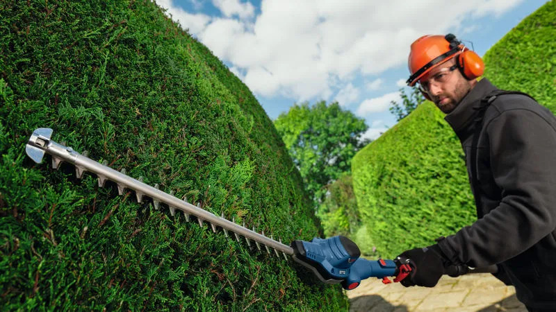 Person, Arbeiter, Garten, Hecke, Mace Club